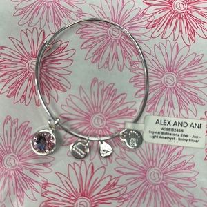 Alex and Ani June bracelet